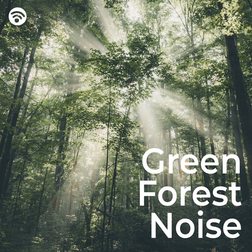 Picture of Sounds of Nature White Noise for Mindfulness, Meditation and Relaxation