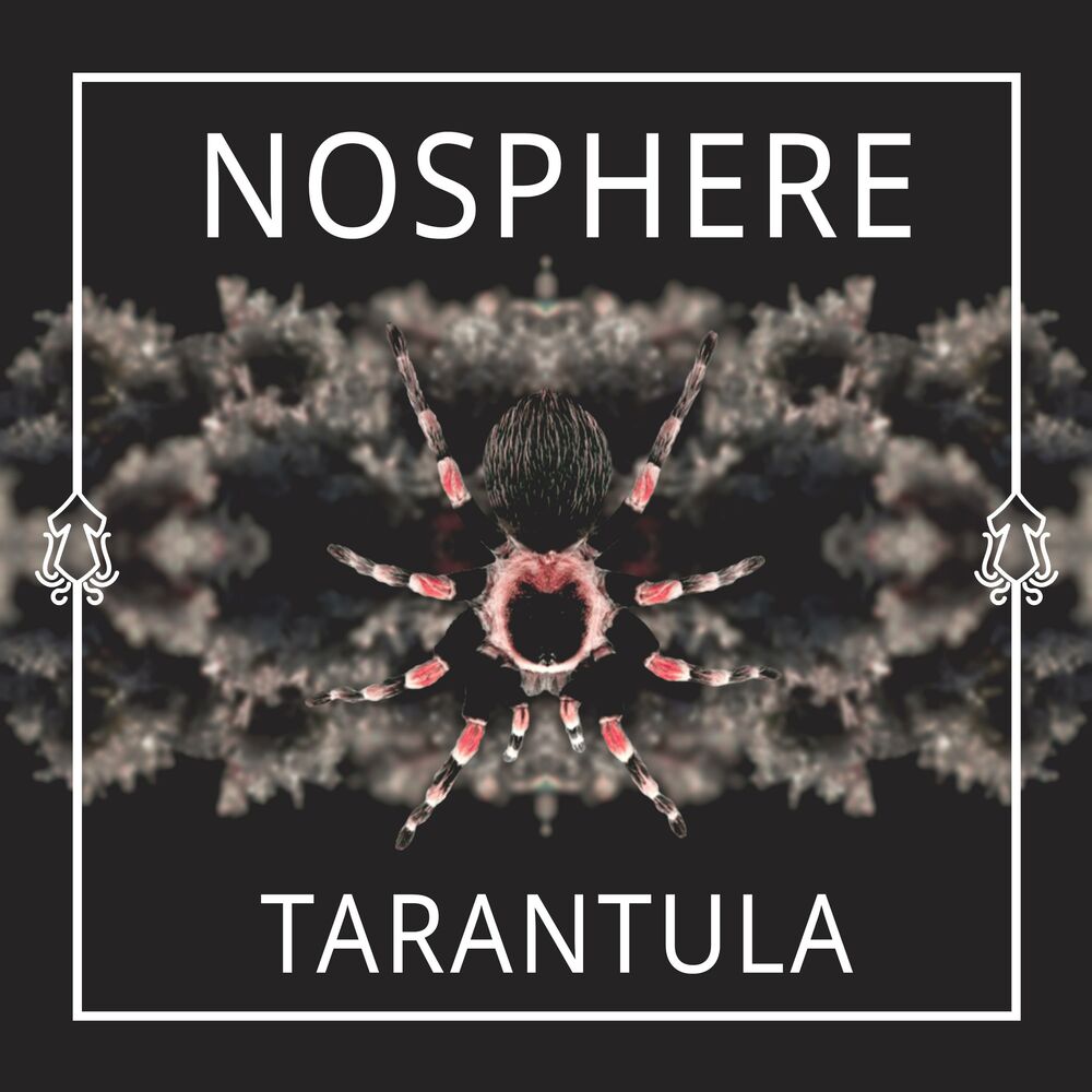 Picture of Nosphere