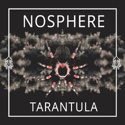 Picture of Nosphere