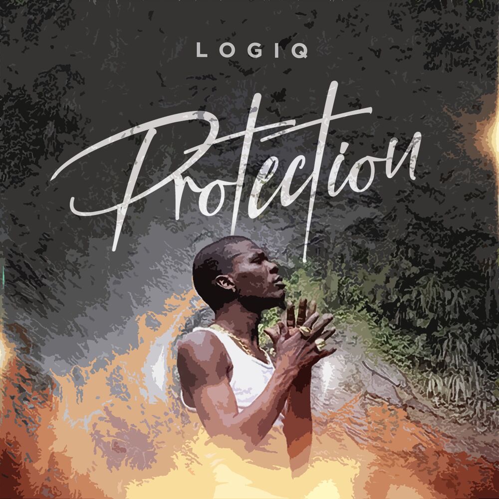 Picture of Logiq