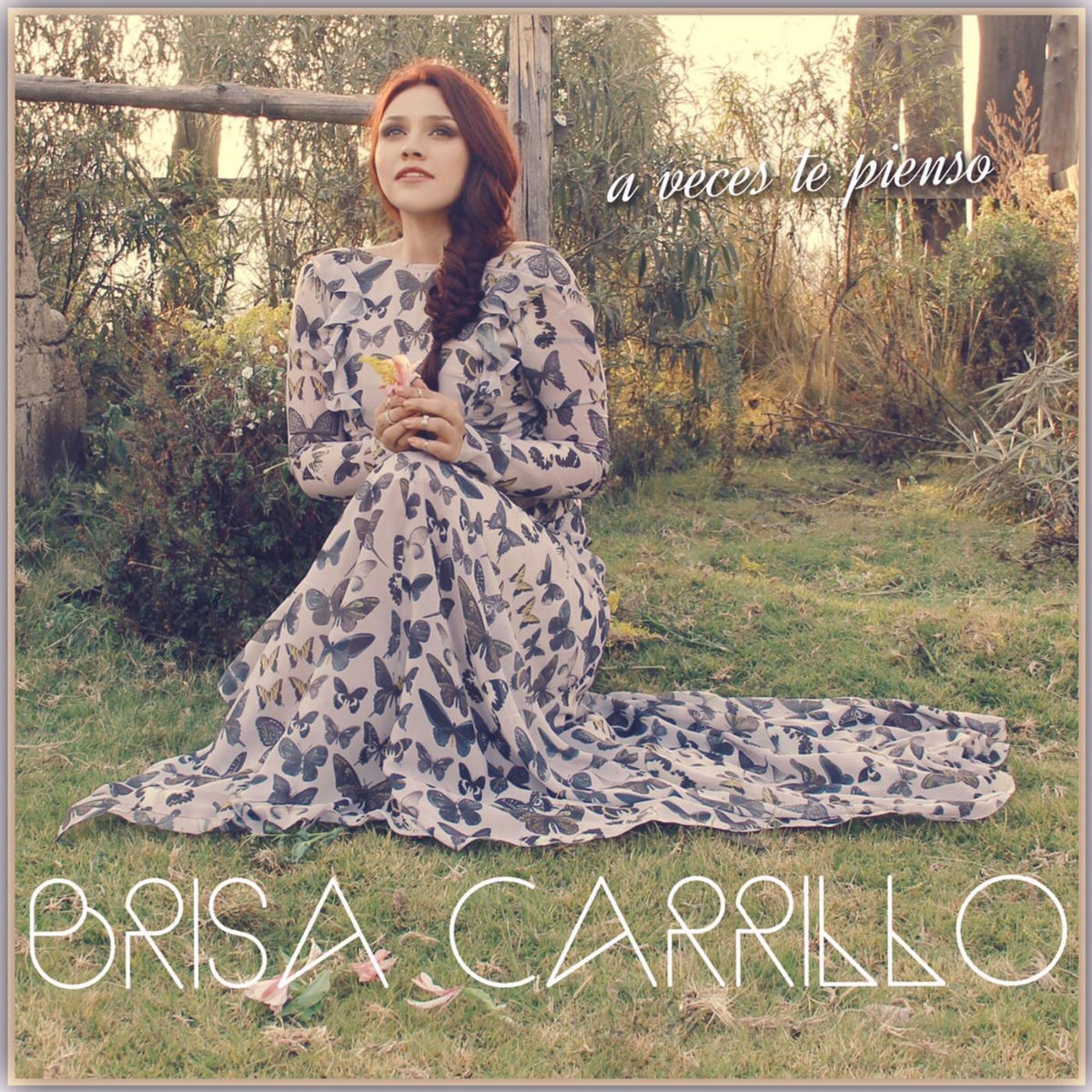 Artist picture of Brisa Carrillo