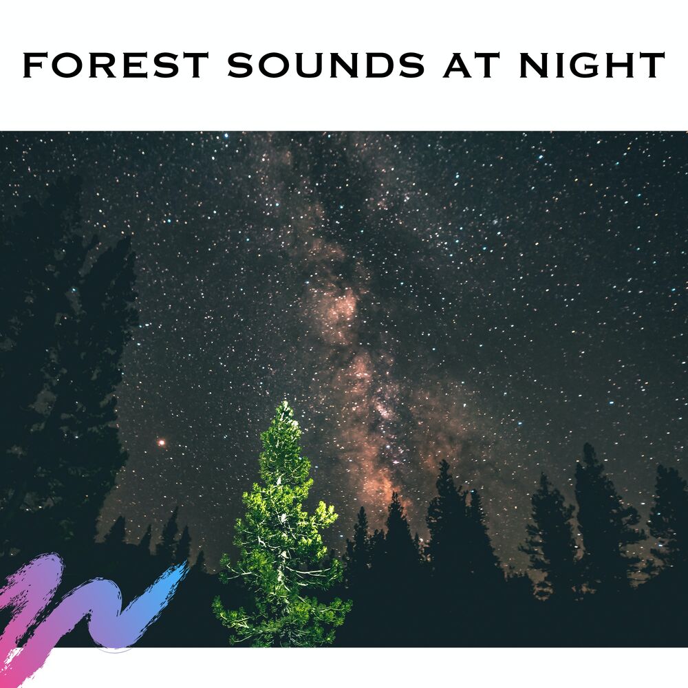 Picture of Nature's Music