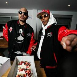 Picture of Onyx