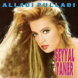 Picture of Seyyal Taner