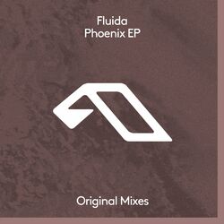 Picture of Fluida
