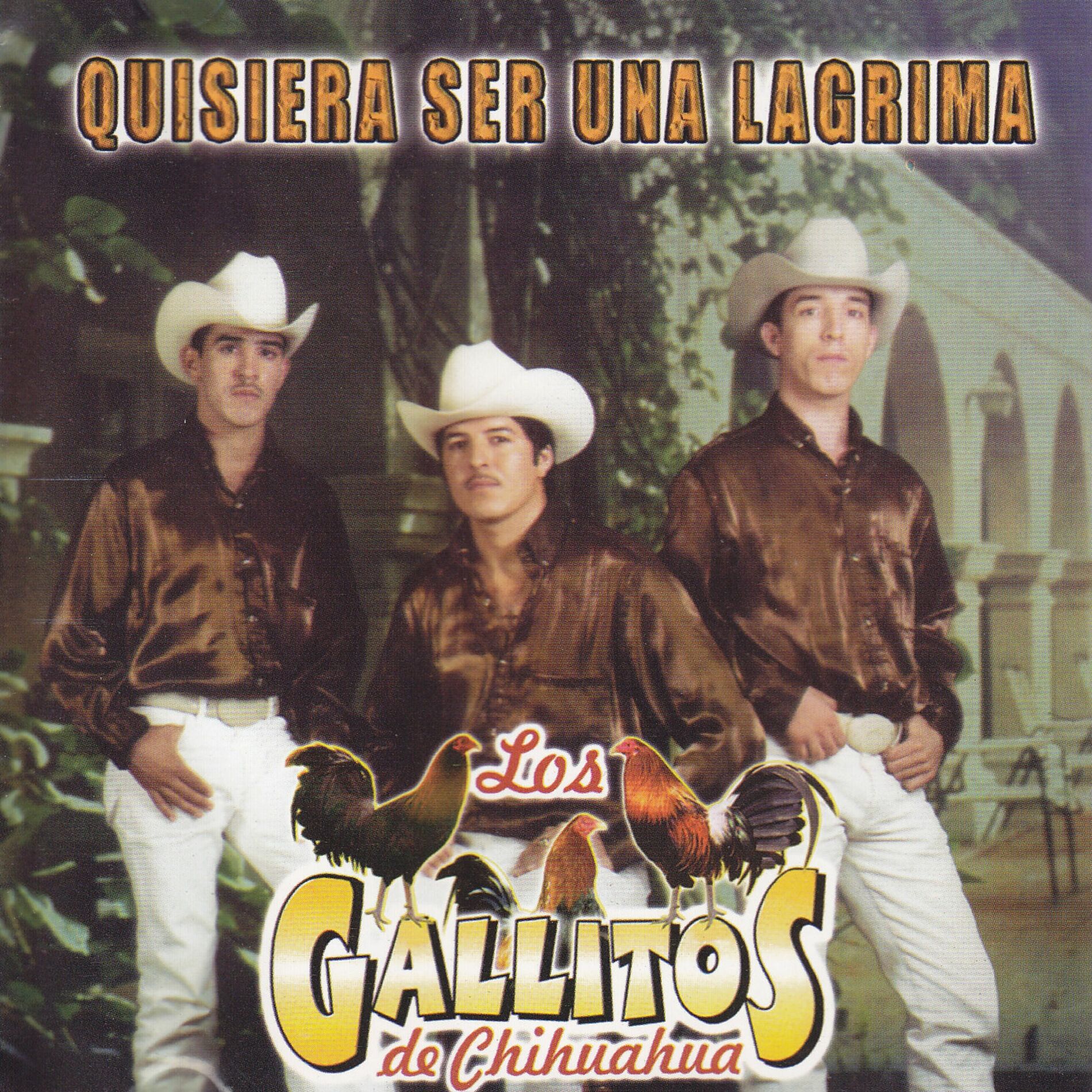 Artist picture of Los Gallitos de Chihuahua