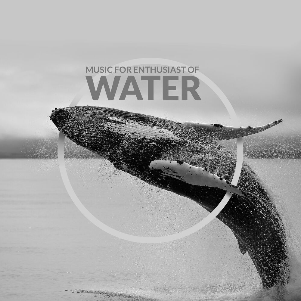 Picture of Waterfalls Music Universe