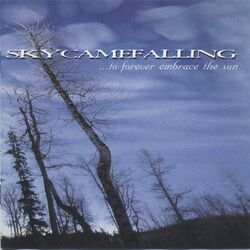 Skycamefalling