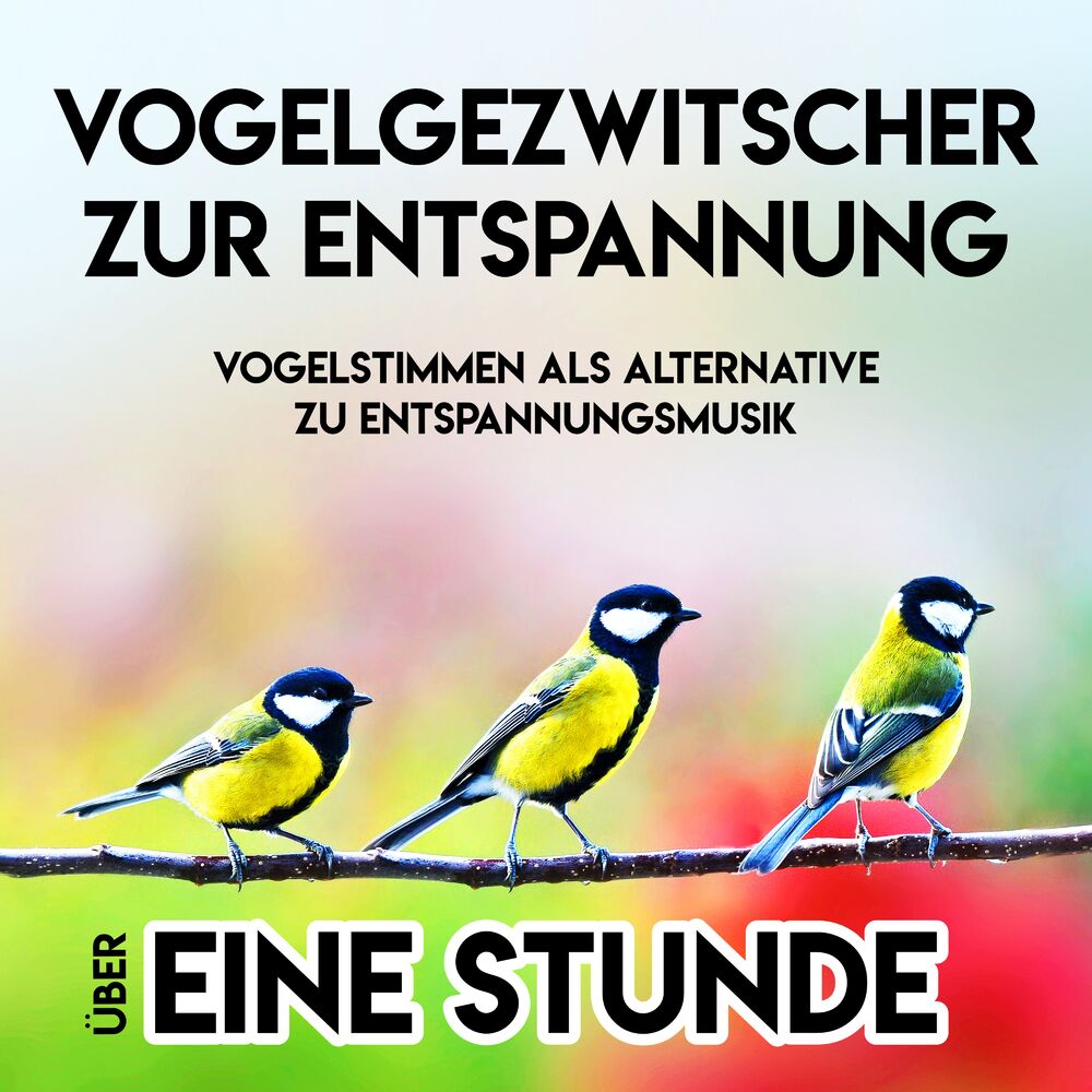 Picture of Vogelstimmen