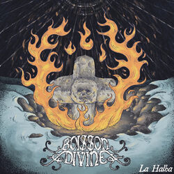Picture of Boisson Divine