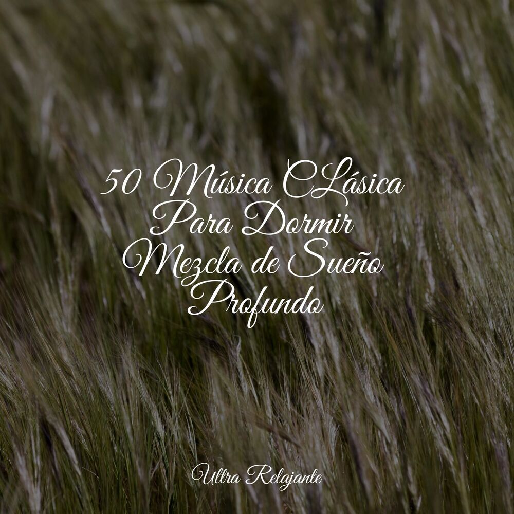 Picture of Lluvia Relajante