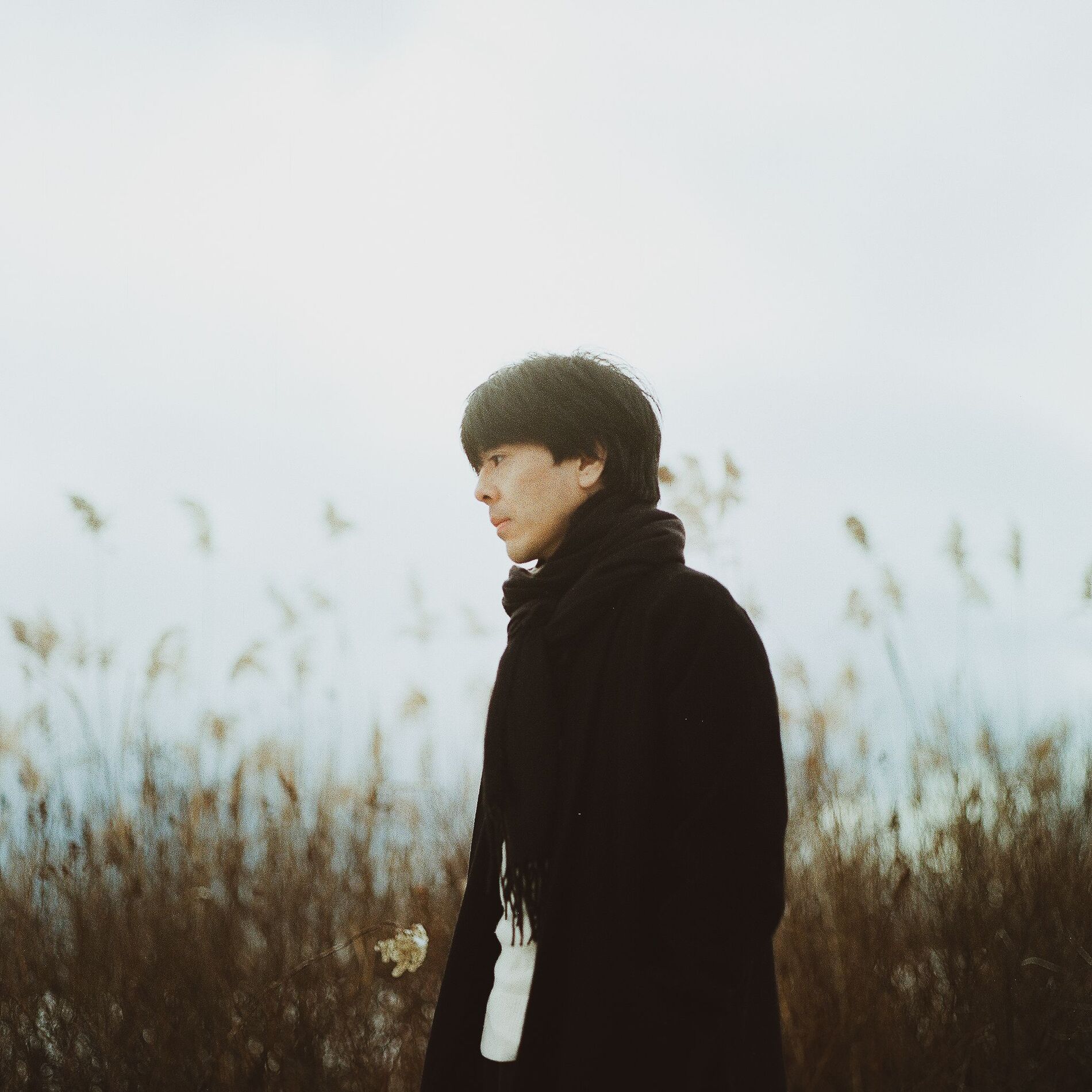 Hideyuki Hashimoto