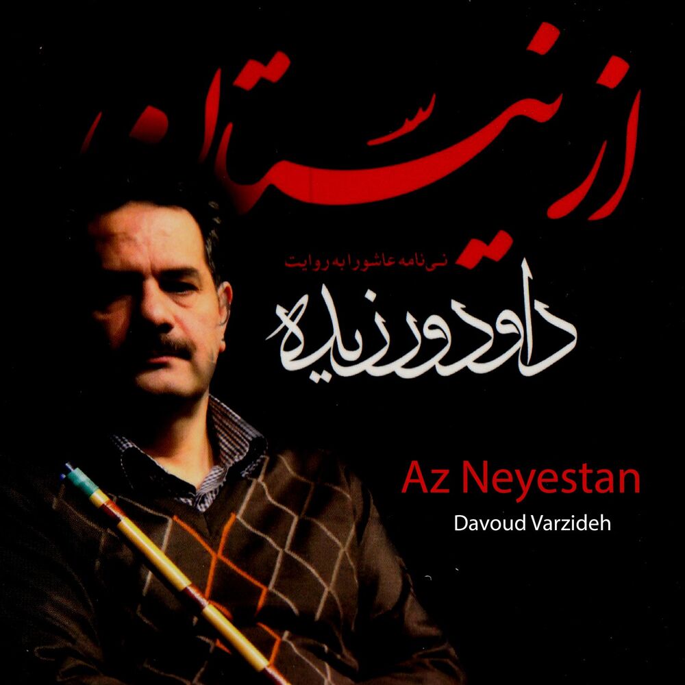 Picture of Davood Varzideh