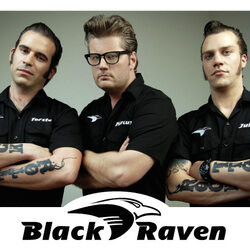 Picture of Black Raven