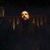 Jonathan Davis