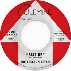 Picture of The Freedom Affair