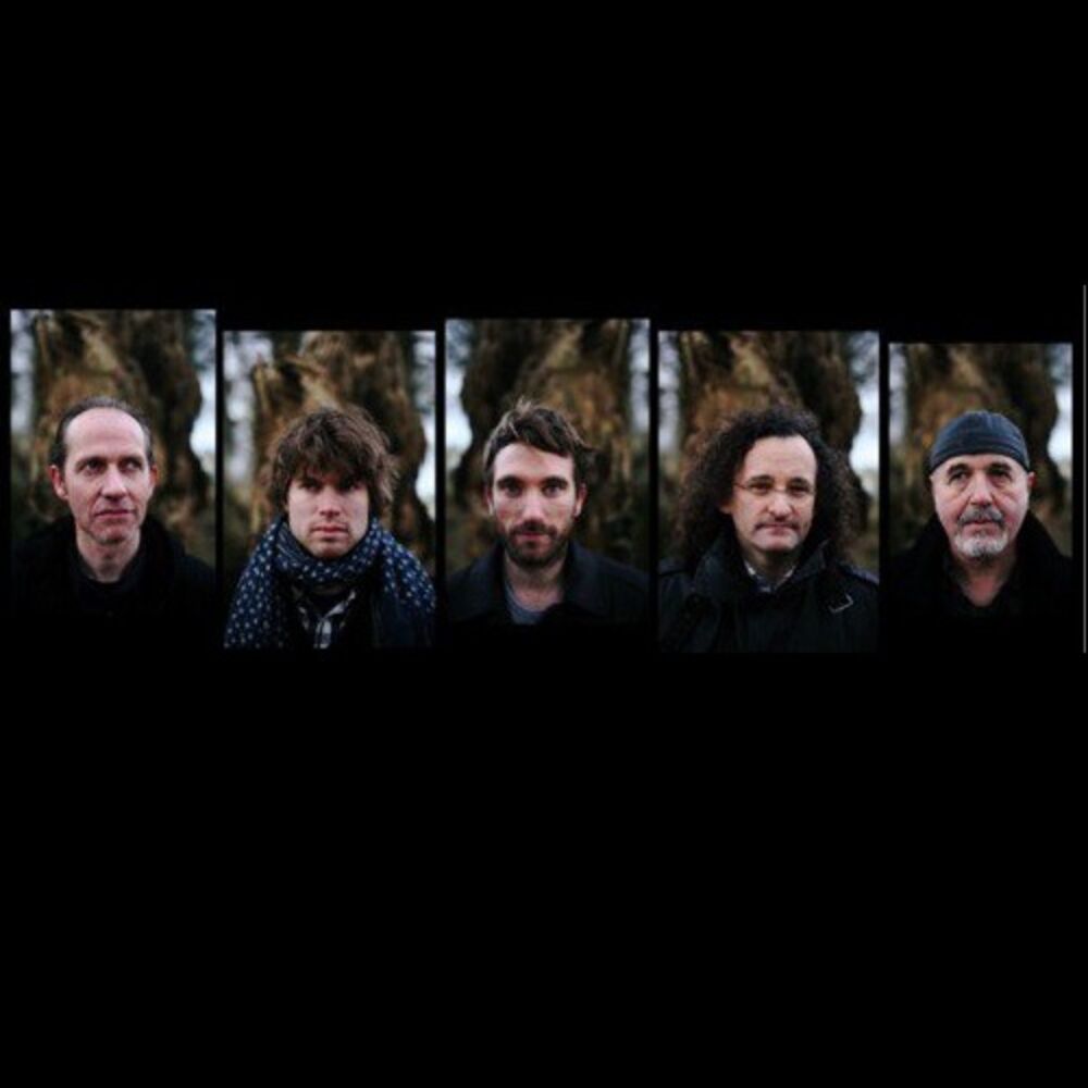 Picture of The Gloaming