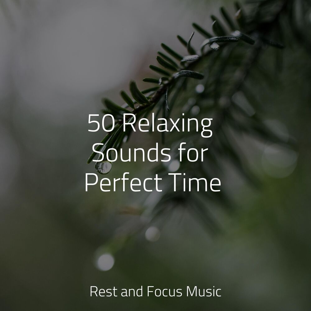 Picture of Amazing Spa Music