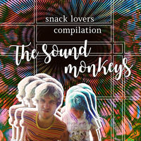 The Sound Monkeys