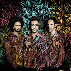 Picture of Omer Klein Trio