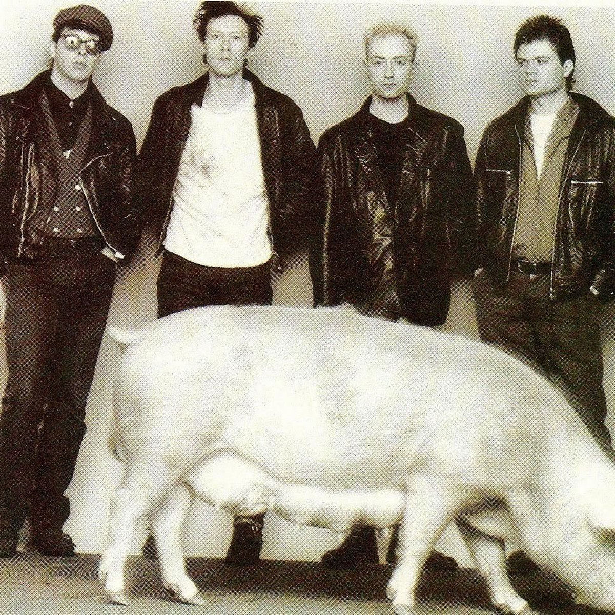 Artist picture of Red Lorry Yellow Lorry
