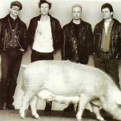 Red Lorry Yellow Lorry