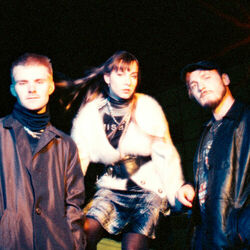 Picture of Night Tapes