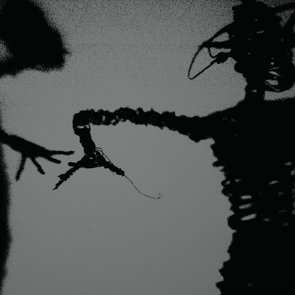 Picture of The Twilight Singers