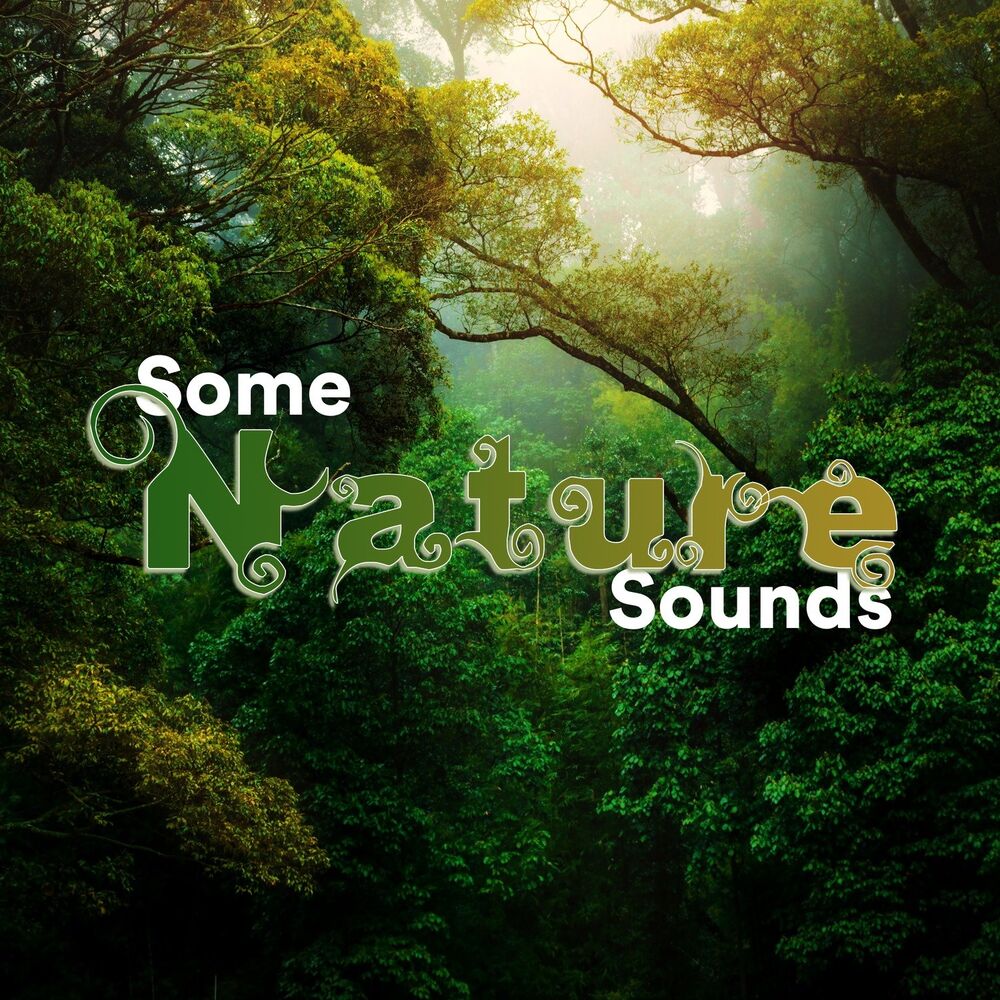 Picture of Some Nature Sounds