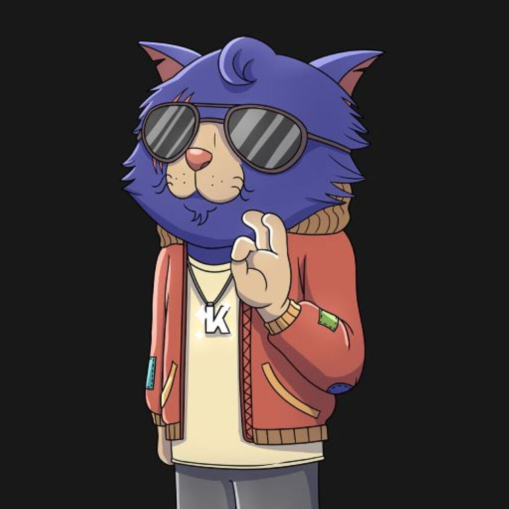 Picture of KOPPY