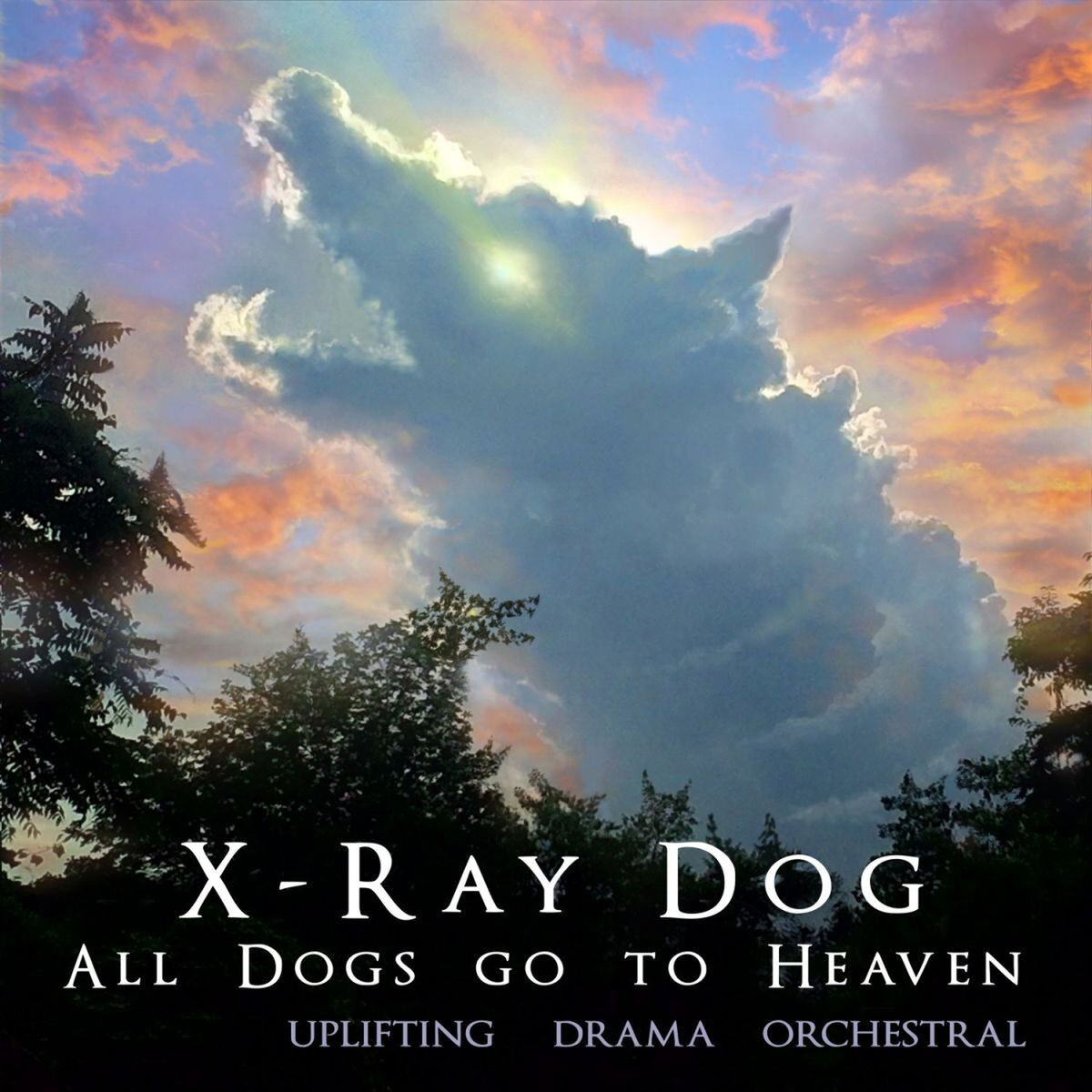 X-Ray Dog