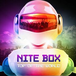 Picture of Nite box