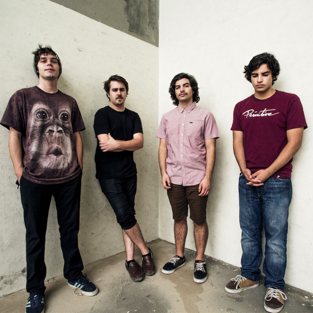 Picture of Chon