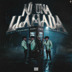 Los Machos de la Cumbia
