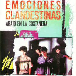 Picture of Emociones Clandestinas