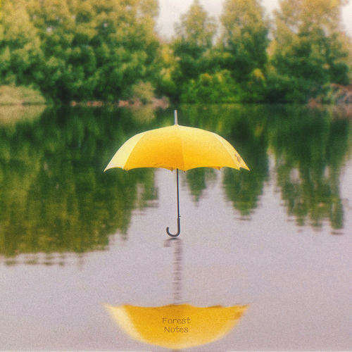 Huie – One umbrella, two hearts (Huie X Forest Notes) – Single