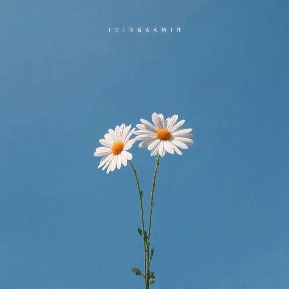 Album cover of One of the Best
