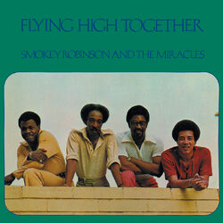 Cover of Flying High Together