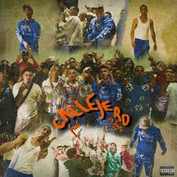 Cover of Callejero
