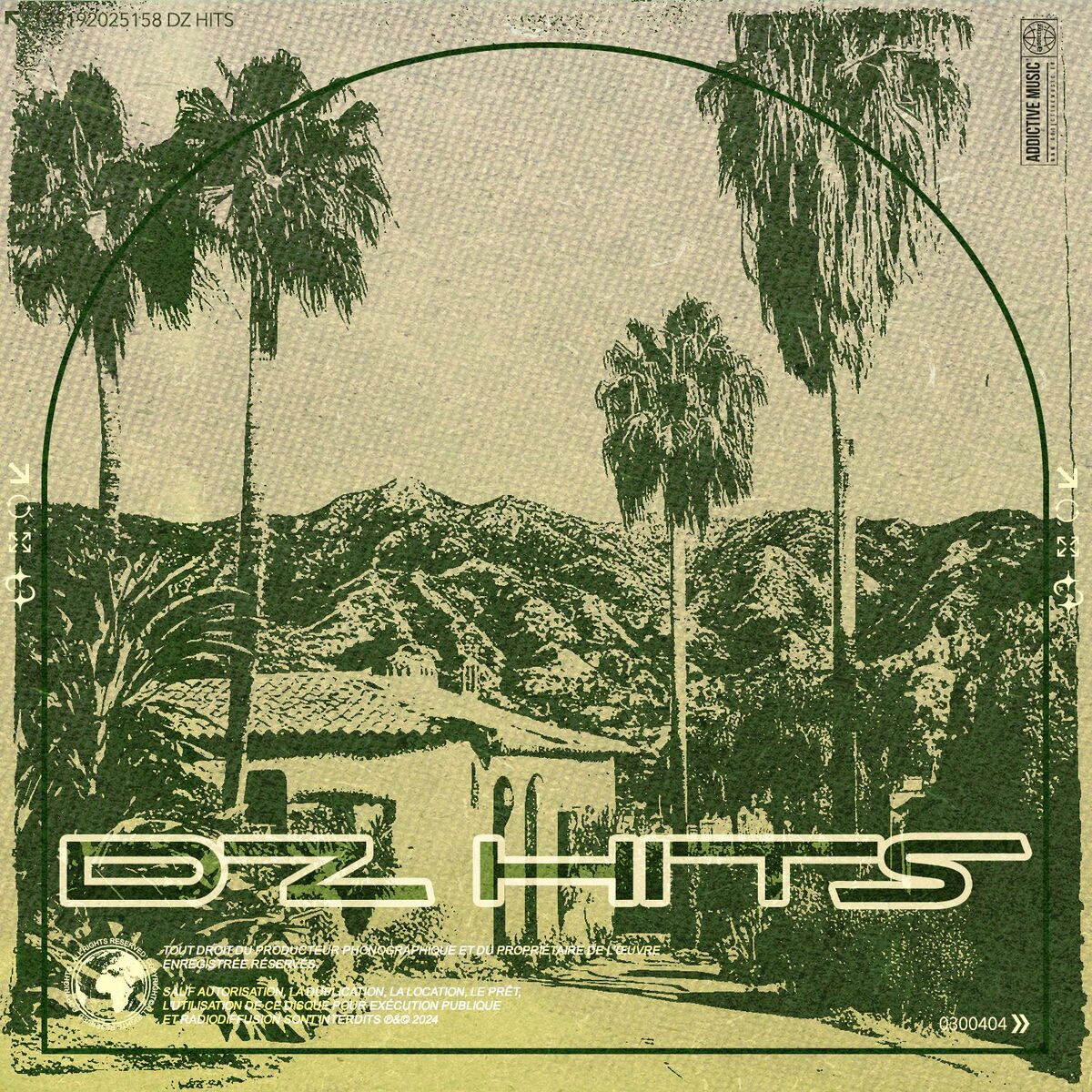 Album cover of DZ HITS
