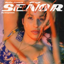 Cover of Señor (Synapson Remix)