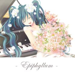 Cover of Epiphyllum