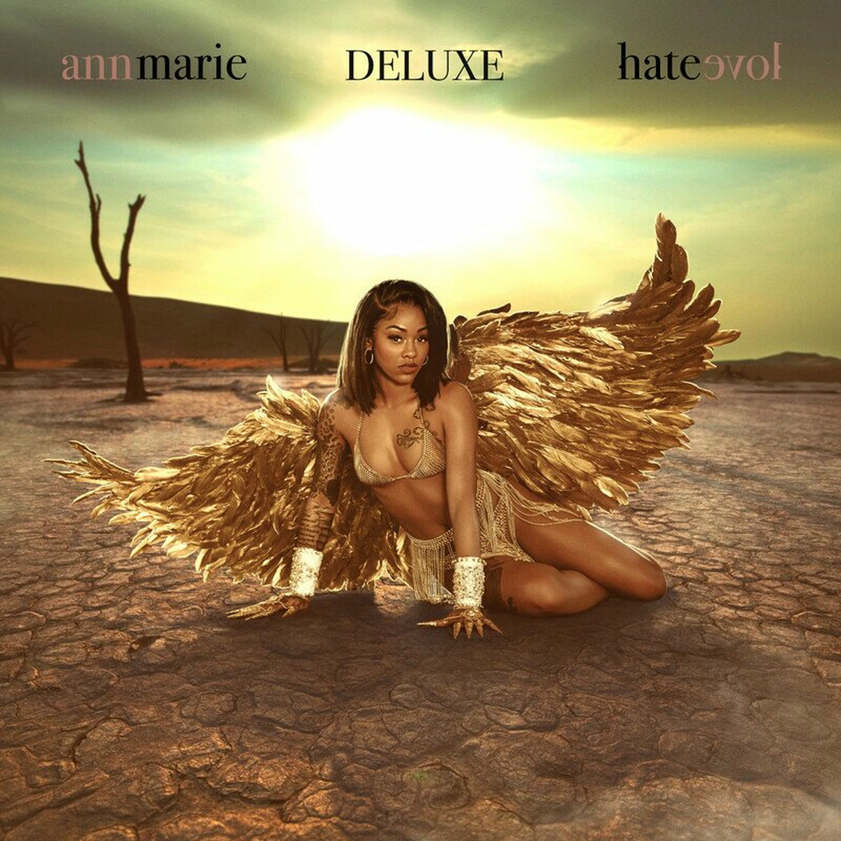 Album cover of Hate Love (Deluxe)