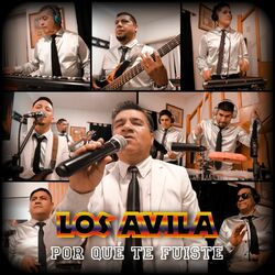 Cover of Por Qué Te Fuiste
