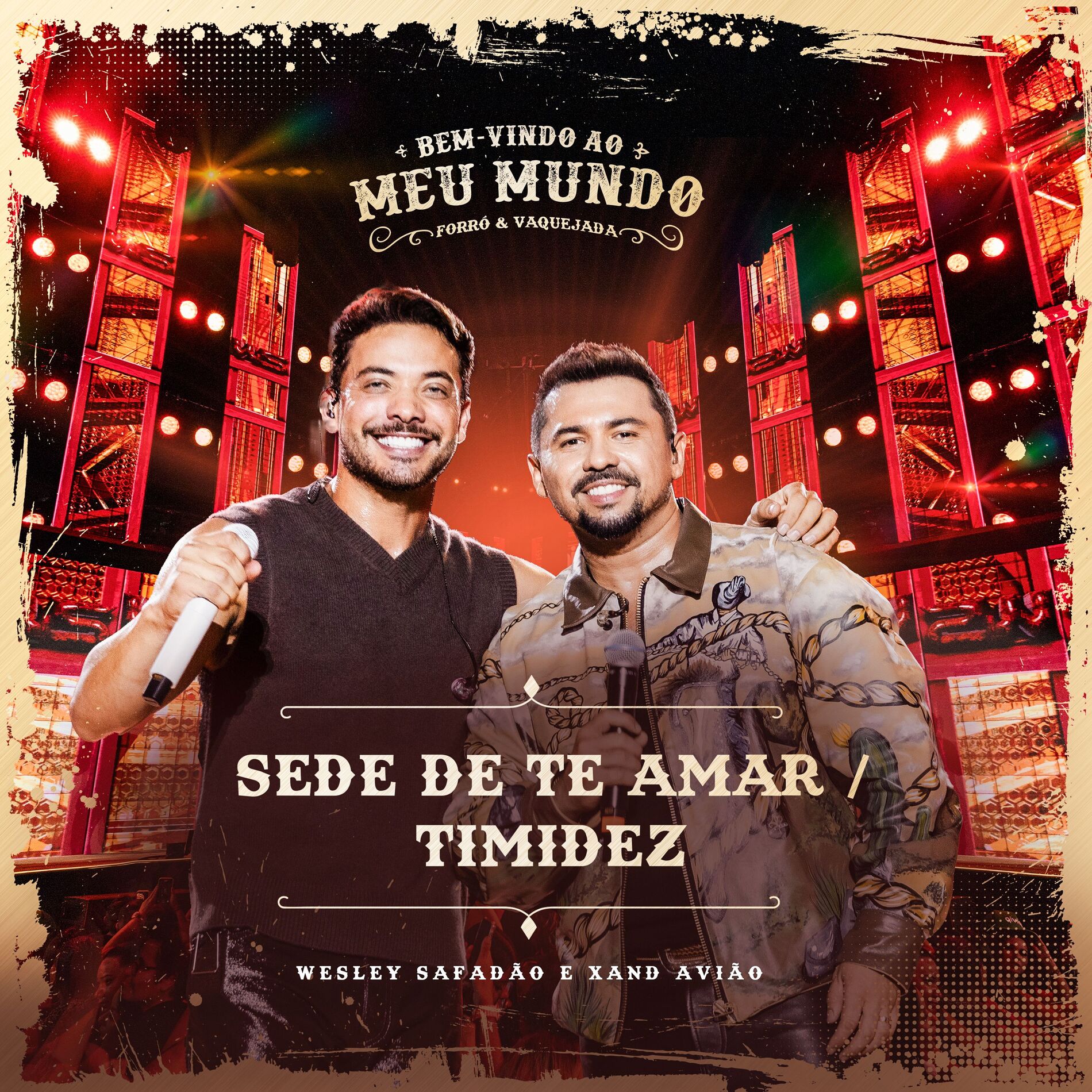 Album cover of Sede de Te Amar / Timidez