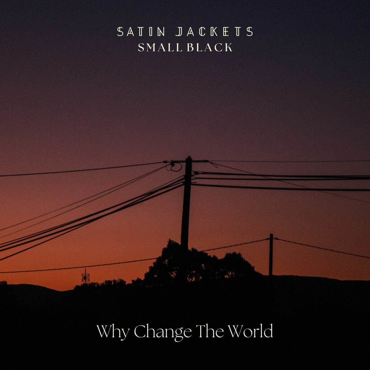 Album cover of Why Change The World