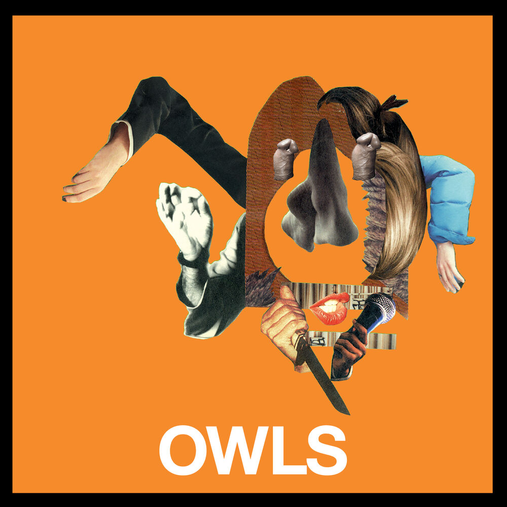 Picture of Owls