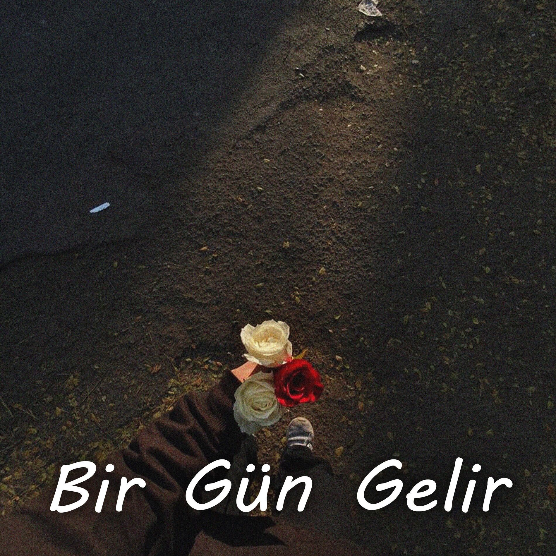 Album cover of Bir Gün Gelir