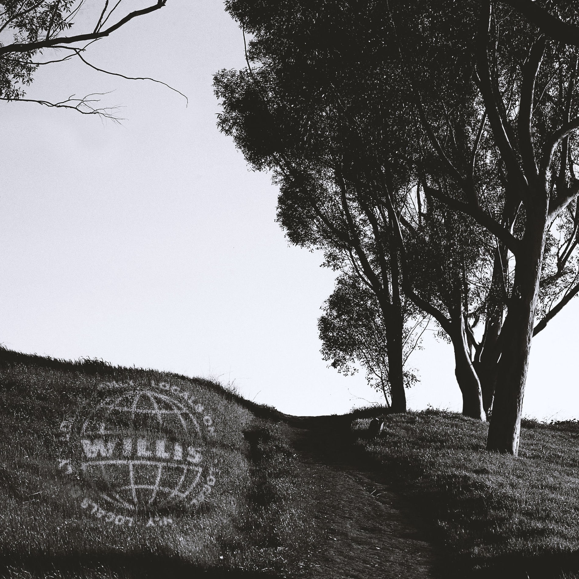 Album cover of Clover