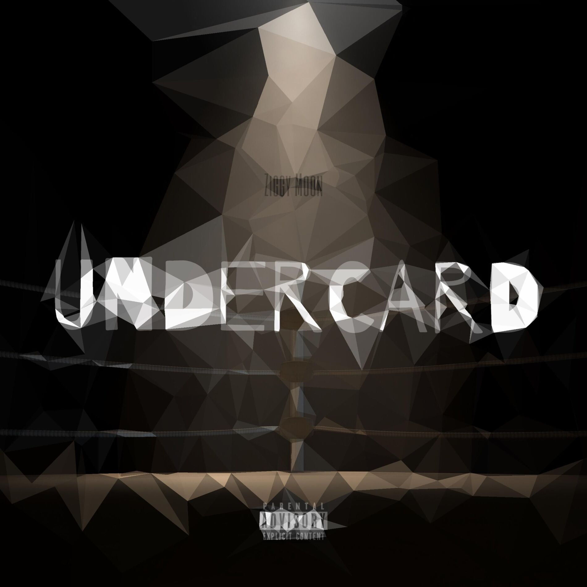 Album cover of Undercard